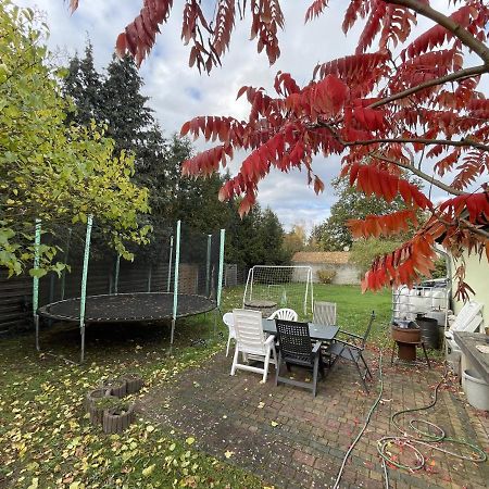 Das Gruene Haus Finsterwalde Exteriör bild