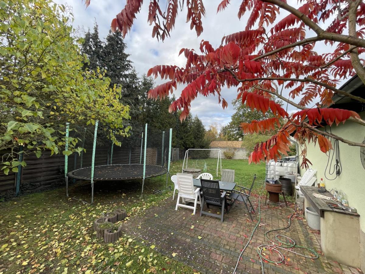 Das Gruene Haus Finsterwalde Exteriör bild