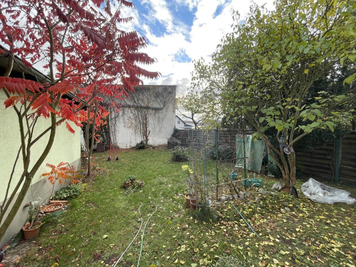 Das Gruene Haus Finsterwalde Exteriör bild